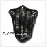BMW S1000RR / S1000R PICKUP-Cover Protector right